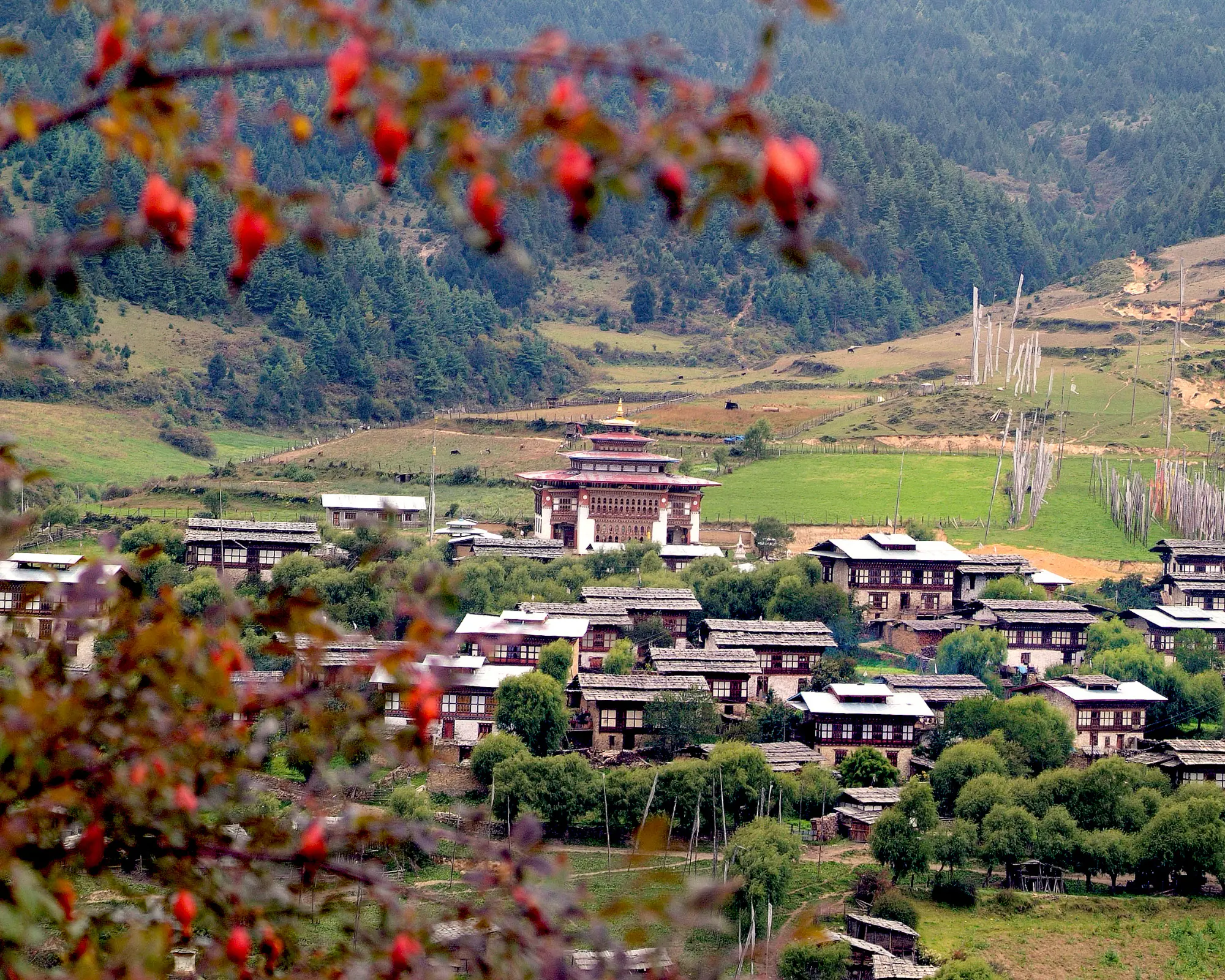 trek to nepal