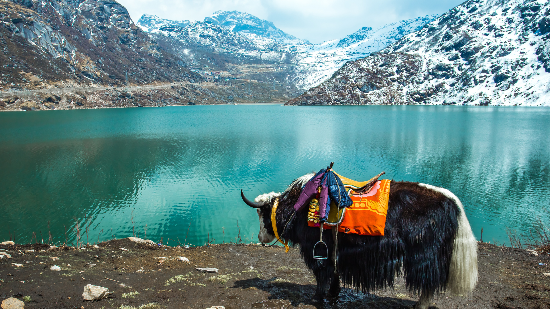 North East Luxury: A 7-Day Himalayan Retreat through Sikkim & Darjeeling