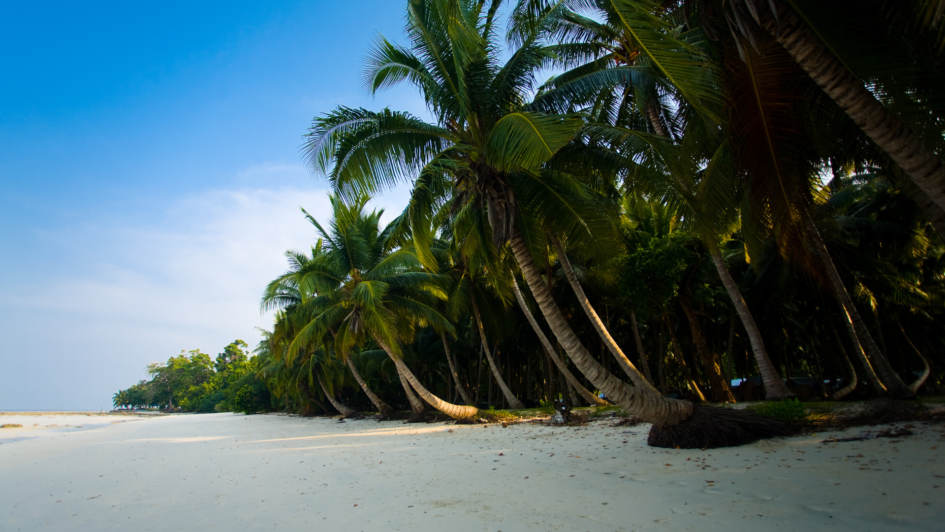 andaman tour packages Havelock Islands