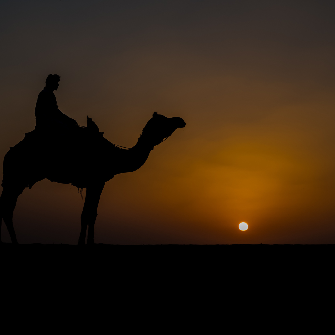 Departure from Jaisalmer - A Fond Farewell